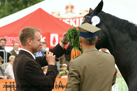 20080525_pozegnanie_bretanii (13)